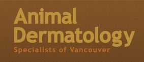 Veterinary Dermatology - Animal Dermatology Specialists of Vancouver Veterinary Dermatology - Animal Dermatology Specialists of Vancouver